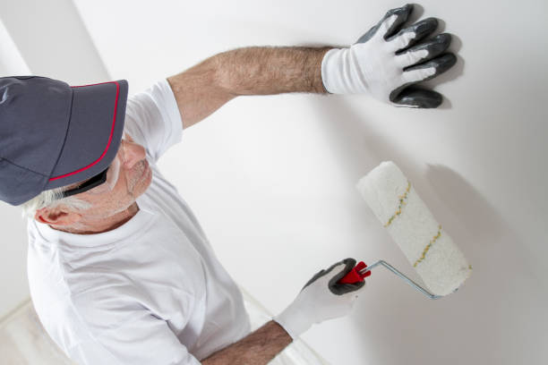 Trusted Buhl, MN Mold Removal Experts