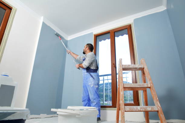 Best Comprehensive Air Testing for Mold Contaminants  in Buhl, MN