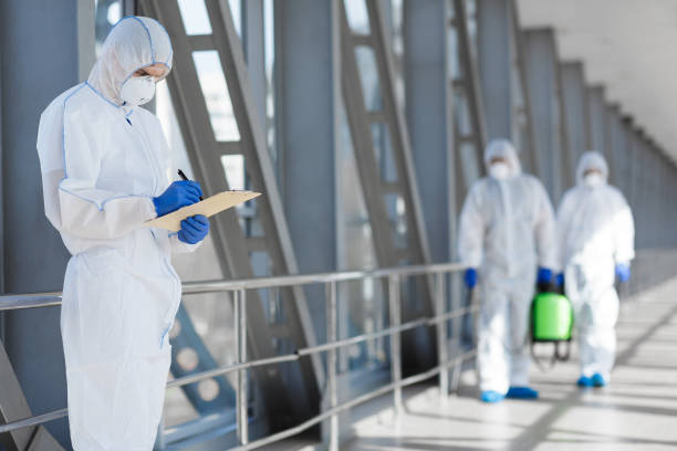 Best Emergency Mold Remediation  in Buhl, MN