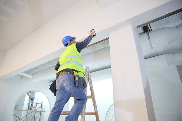 Best Basement Mold Removal  in Buhl, MN