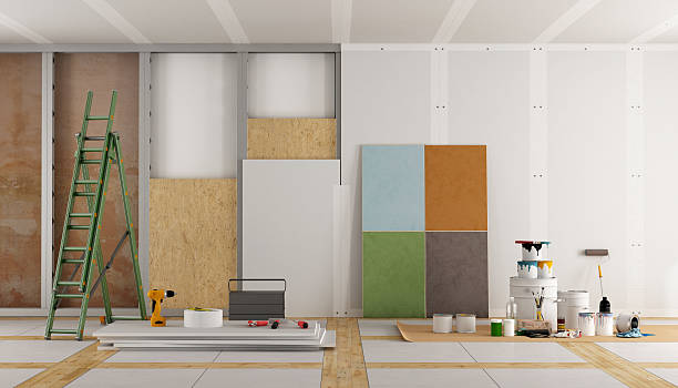 Best Mold Prevention Services  in Buhl, MN