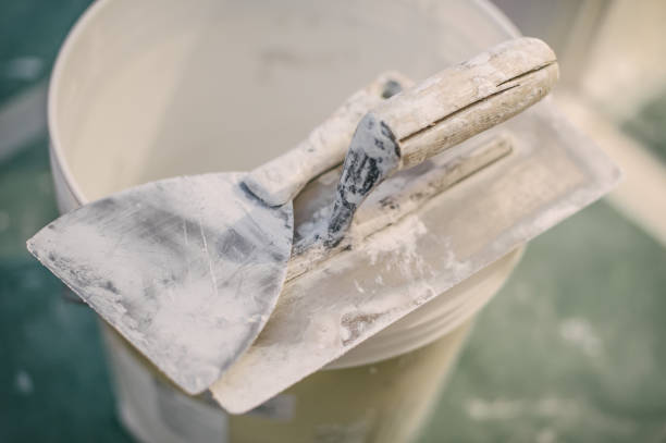 Best Commercial Mold Inspection  in Buhl, MN
